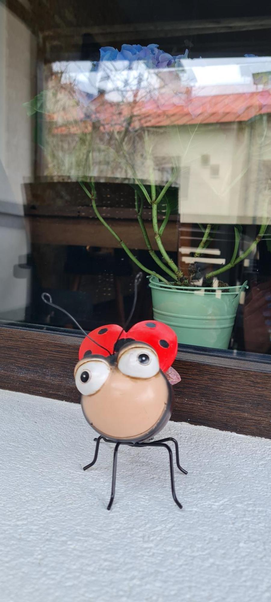 Willa Casa Ama Buşteni Zewnętrze zdjęcie