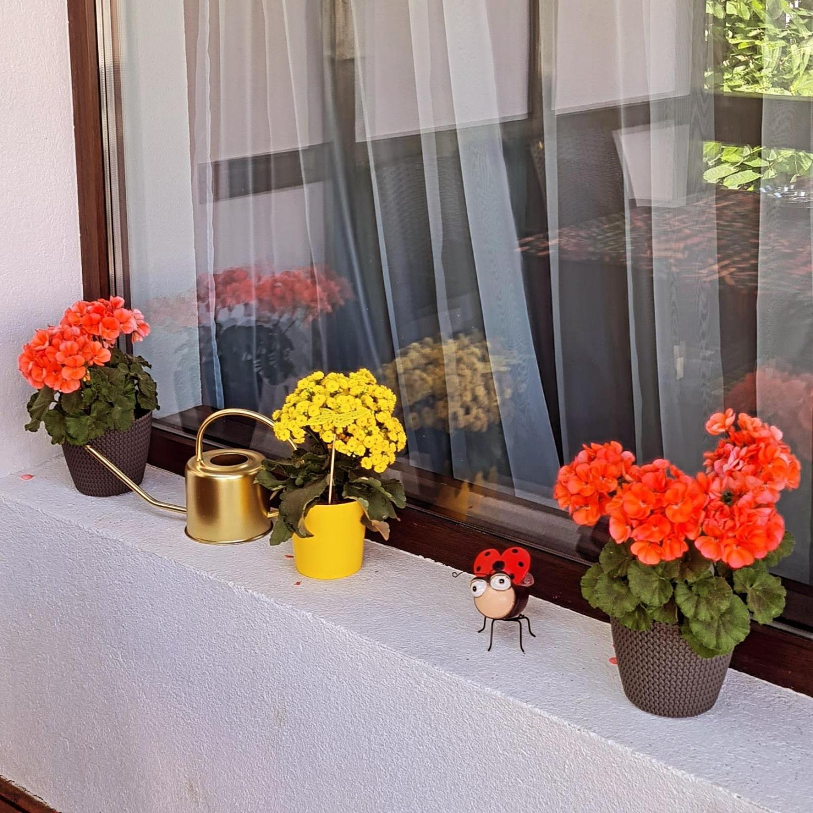 Willa Casa Ama Buşteni Zewnętrze zdjęcie